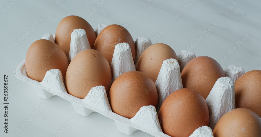 Pack of the chicken egg