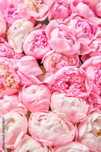 Floral carpet or Wallpaper. Beautiful Pink peony flower for catalog or online store. Floral shop concept . Beautiful fresh cut bouquet. Flowers delivery