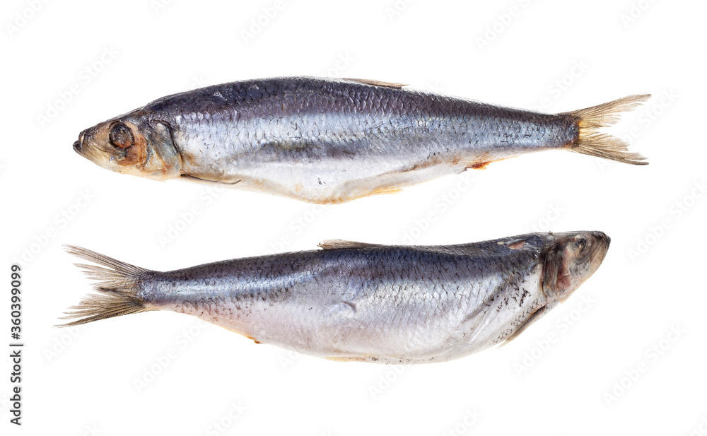 pair of frozen Atlantic herrings isolated on white background pair of frozen Atlantic herrings isolated on white background