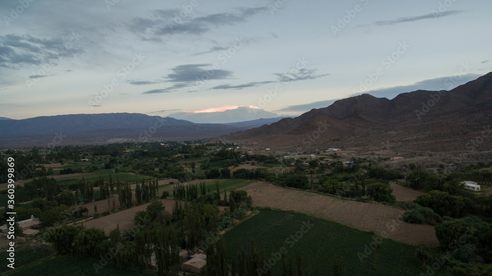 Rural scenic. Agriculture industry. Aerial view of the vineyards, farmland and plantations in the mountains at sunset. 