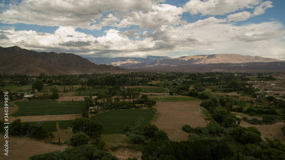 Obraz premium Rural scenery. Agriculture. Aerial view of the vineyards and farmland high in the mountains. 