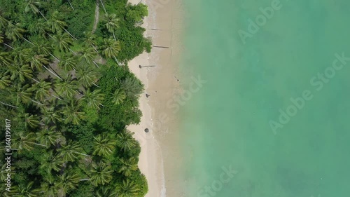 Wallpaper Mural Tropical beach and palm trees from aerial drone Torontodigital.ca