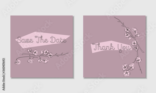 Fototapeta Naklejka Na Ścianę i Meble -  Vector Save The Date and Thank You card templates with pink blossomed cherry