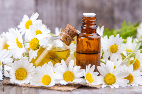 Essential oil in glass bottle with fresh chamomile flowers  beauty treatment.