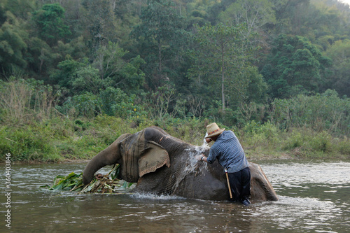 Photography The elephant mahout bathes his elephants in the streams.