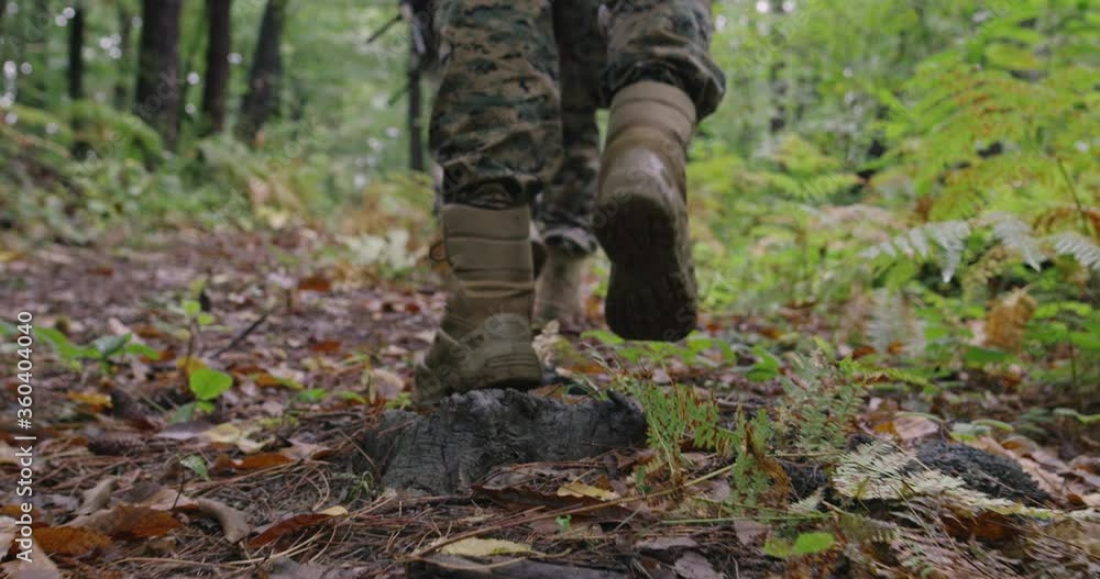 Military action in dense forest Military action in dense forest