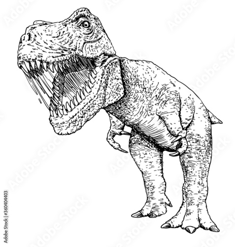 Hand drawn realistic of dinosaur, Vector illustration photo