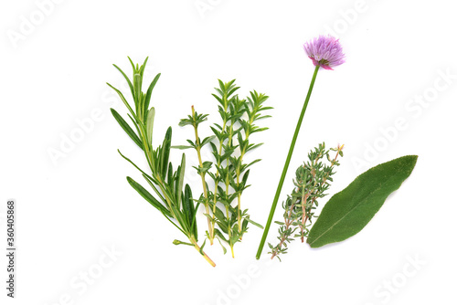 various fresh aromatic herbs on white background