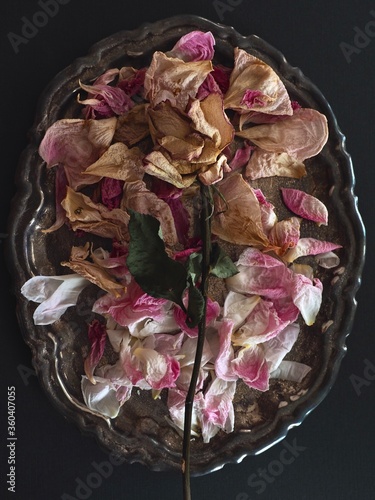 シルバートレイに飾られたドライフラワー
dried flowers on a silver tray