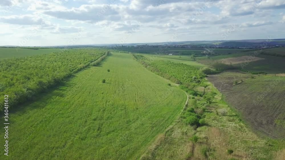 Aerial video of plantations with orchards Aerial video of plantations with orchards