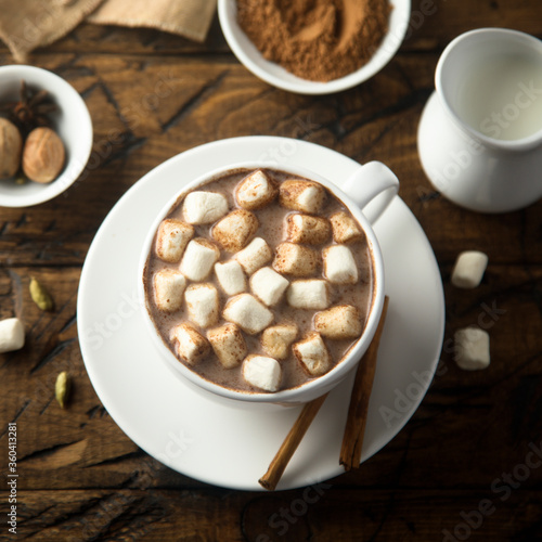 Traditional hot chocolate with marshmallow