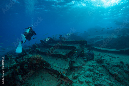 scuba diver and sunken ship