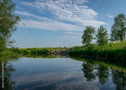 summer landscape with a small forest river  low river calm  summer wild river reflection landscape.