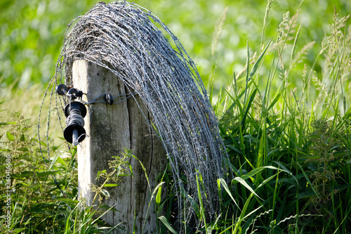 roll of barbed wired on a wooden post in an open field with high green grass