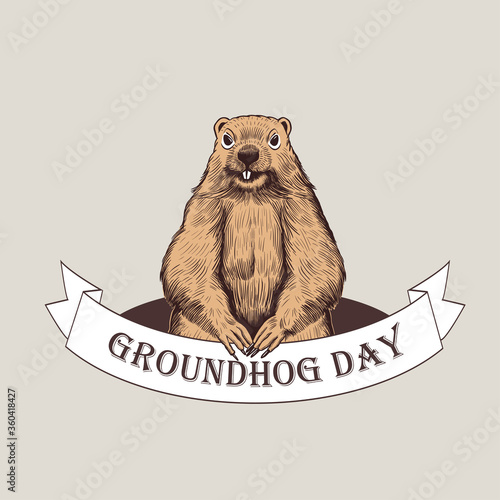 .Groundhog Day. Groundhog weatherman on the background of the burrow and a ribbon banner with the inscription. Holiday illustration. Engraved style elements . Vintage color sketch.