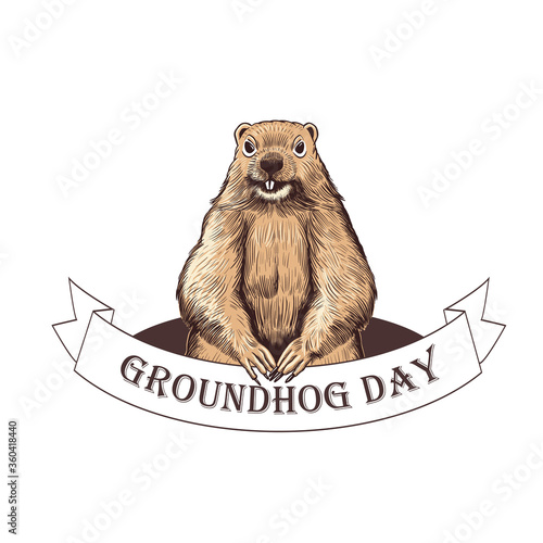 .Groundhog Day. Groundhog  on the background of the burrow and a ribbon banner with the inscription. Holiday illustration. Engraved style elements . Vintage color sketch.
