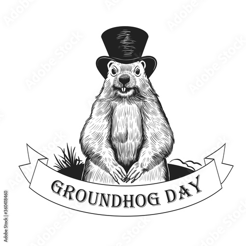 .Groundhog Day. Groundhog weatherman in hat on the background of the burrow and a ribbon banner with the inscription. Holiday illustration. Engraved style elements . Vintage color sketch.