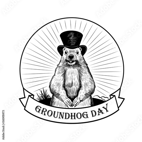 .Groundhog Day. .Groundhog on the background of the rays and a ribbon banner with the inscription. Vector illustration. Engraved style elements . Vintage  sketch. Emblem..