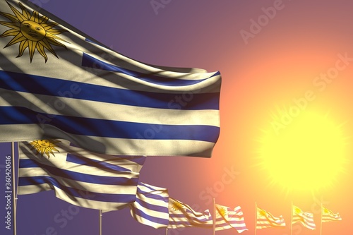 pretty holiday flag 3d illustration. - many Uruguay flags placed diagonal on sunset with place for content photo