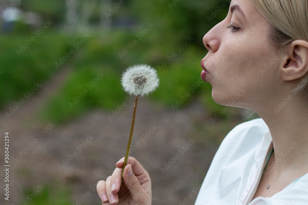 girl is blows away dandelion blowball girl is blows away dandelion blowball
