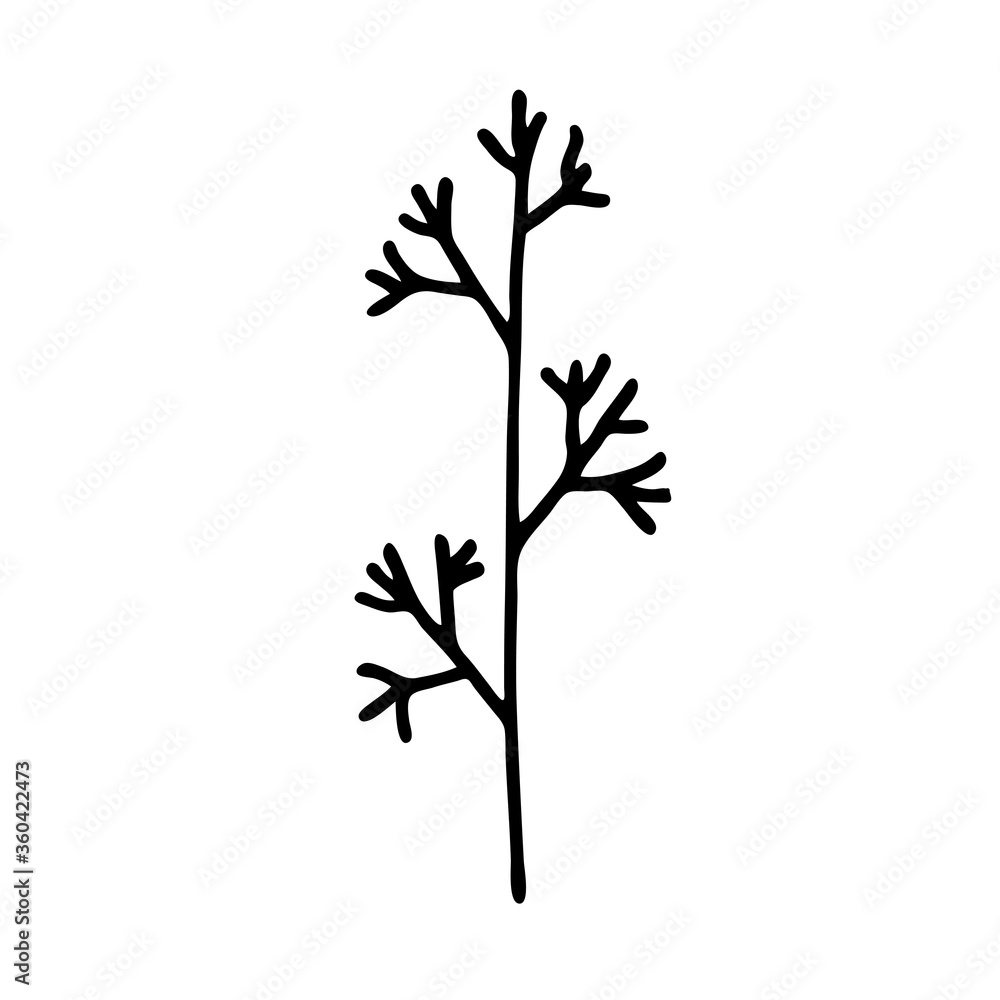 Botanical vector illustration of single herbal element. Ink drawing in Doodle style. Isolated object on a white background. Decorative element for spring and summer design, wedding, vignettes. Botanical vector illustration of single herbal element. Ink drawing in Doodle style. Isolated object on a white background. Decorative element for spring and summer design, wedding, vignettes.