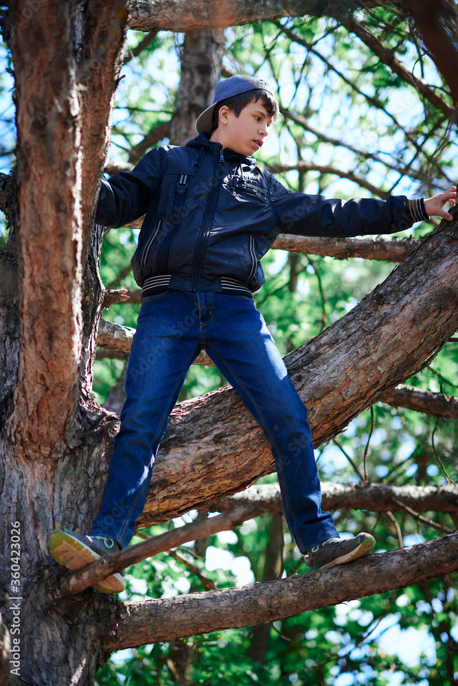 Teenage boy playing outdoor, climbing a tree, bright sunlight, beautiful day