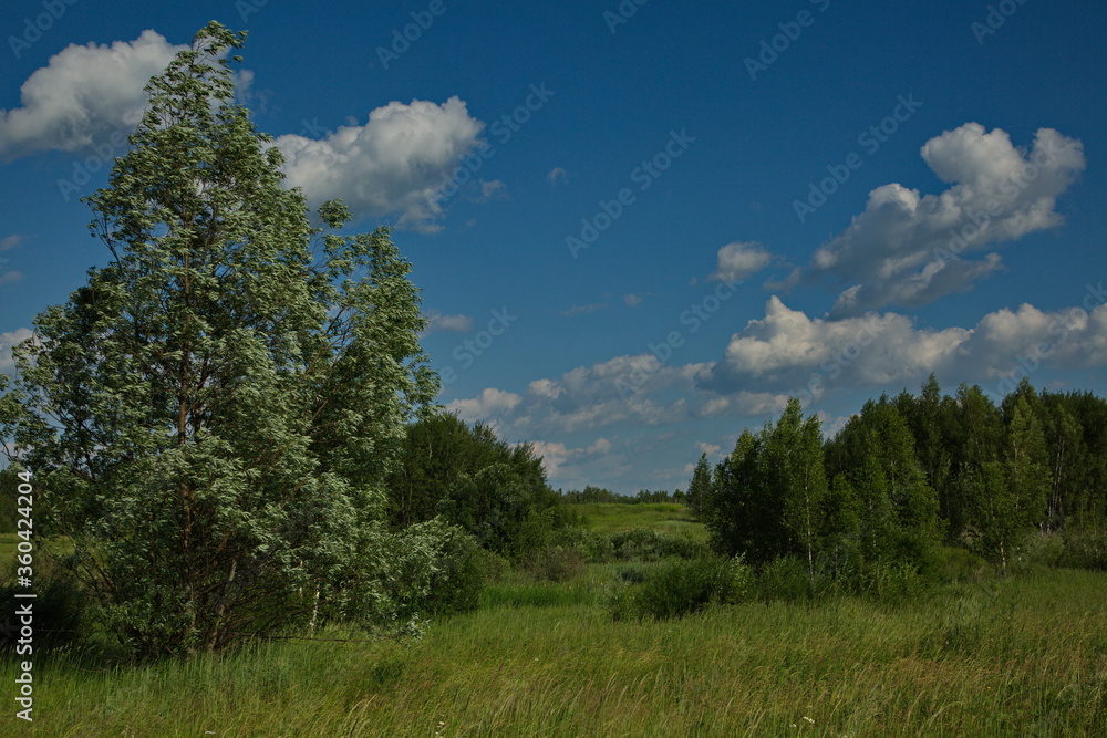 Russian plain landscape, Tula region of Russia. Russian plain landscape, Tula region of Russia.