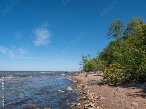 Baltic sea coast photo