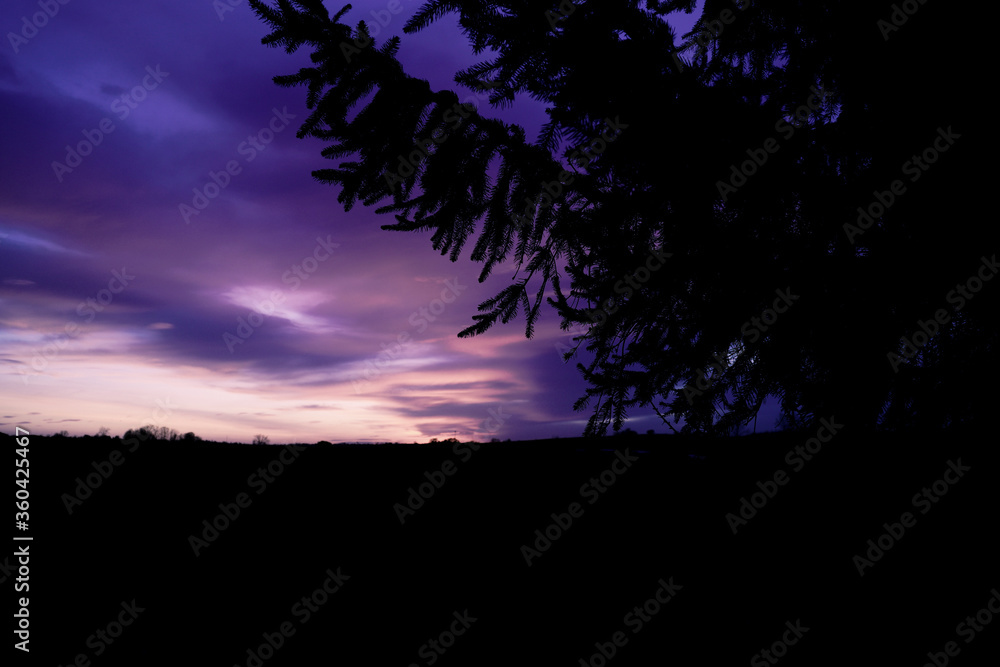 Fototapeta premium Nocny klimat