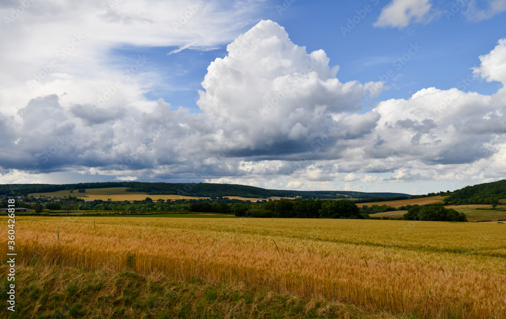 Paysage de la Nièvre en Bourgogne