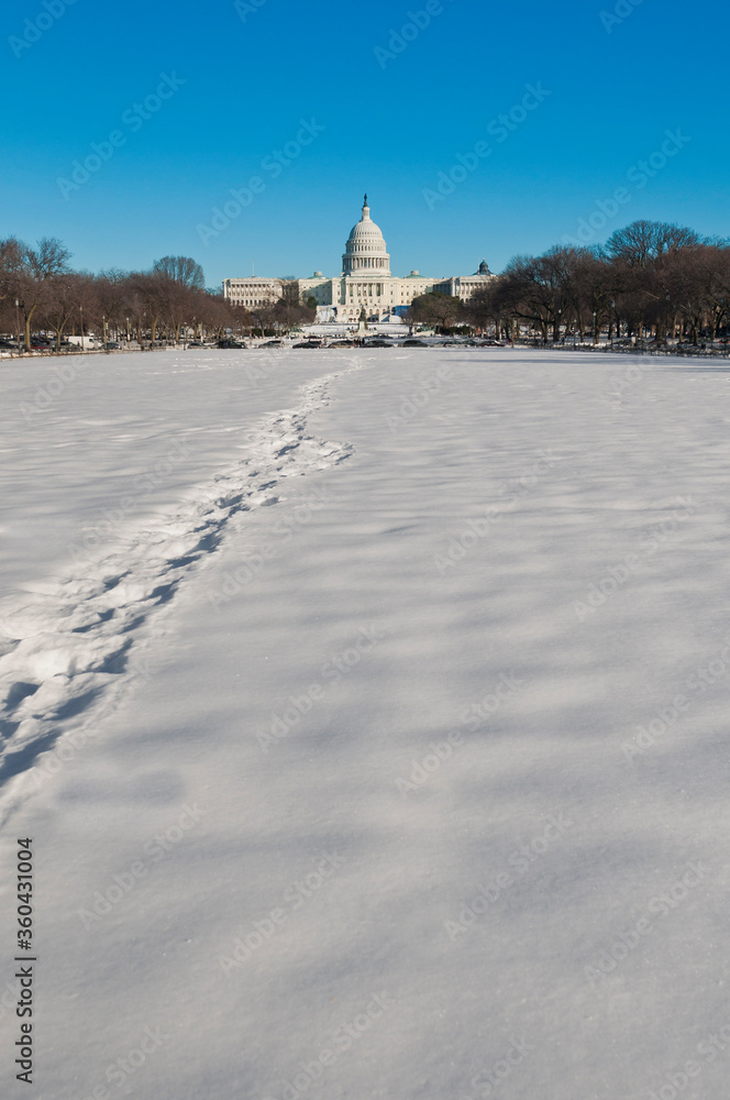 Fototapeta premium The White House building at The Mall in DC, USA
