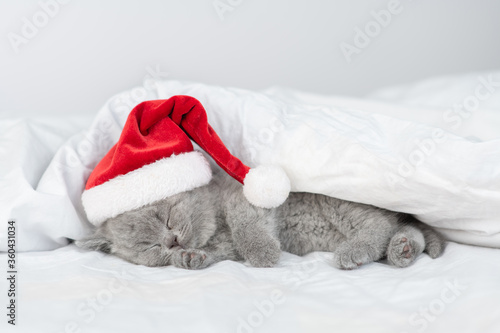 Cute kitten wearing red santa's hat sleeps under a blanket