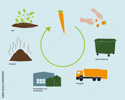 recycling cycle of a carrot / green waste - simple informative vector illustration / Infographic 