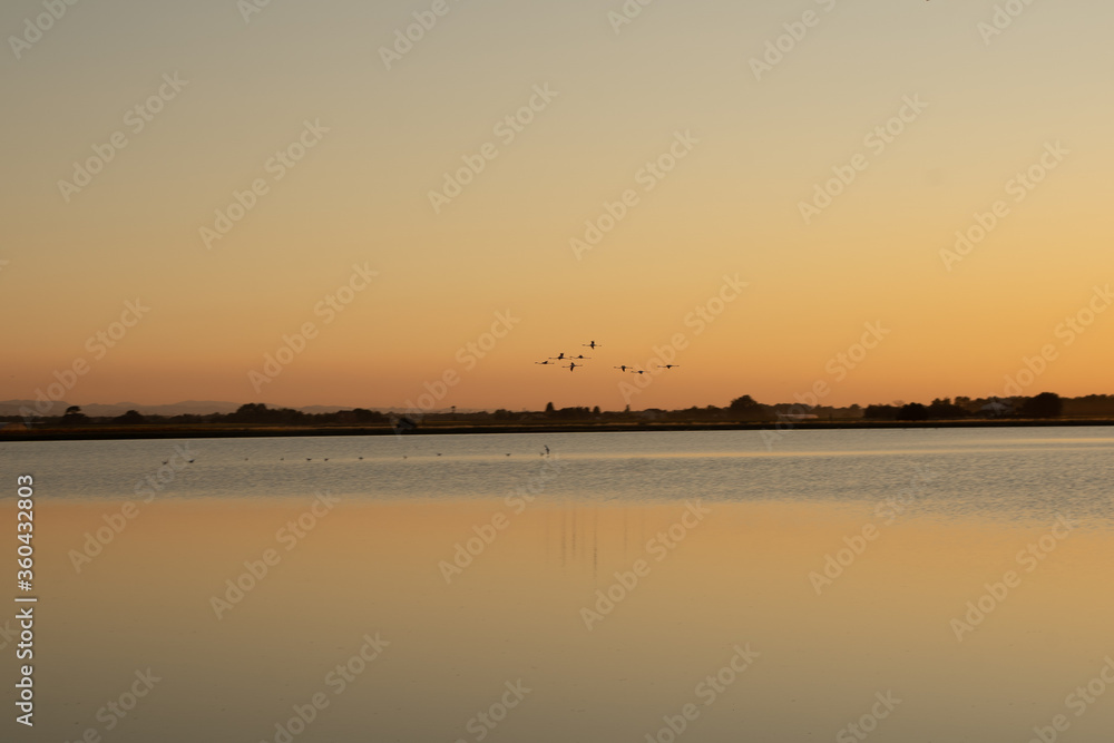 sunset over the sea with flamingos sunset over the sea with flamingos