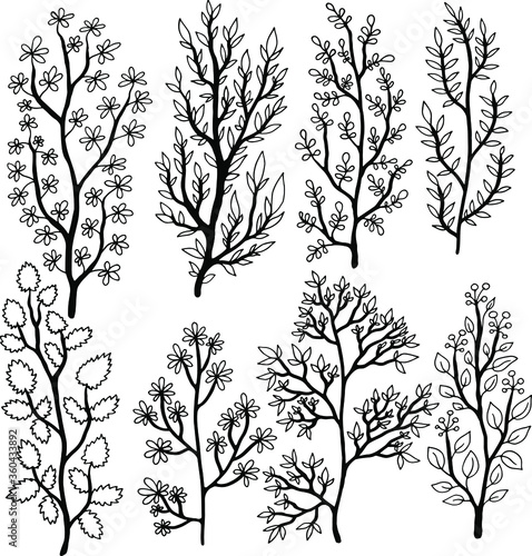 black and white set collection with flowers and plants coloring vector illustration