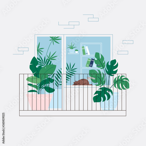 Houseplants on the balcony. Cat sleeping on the windowsill. Room full of plants, view through the window. Urban jungle concept