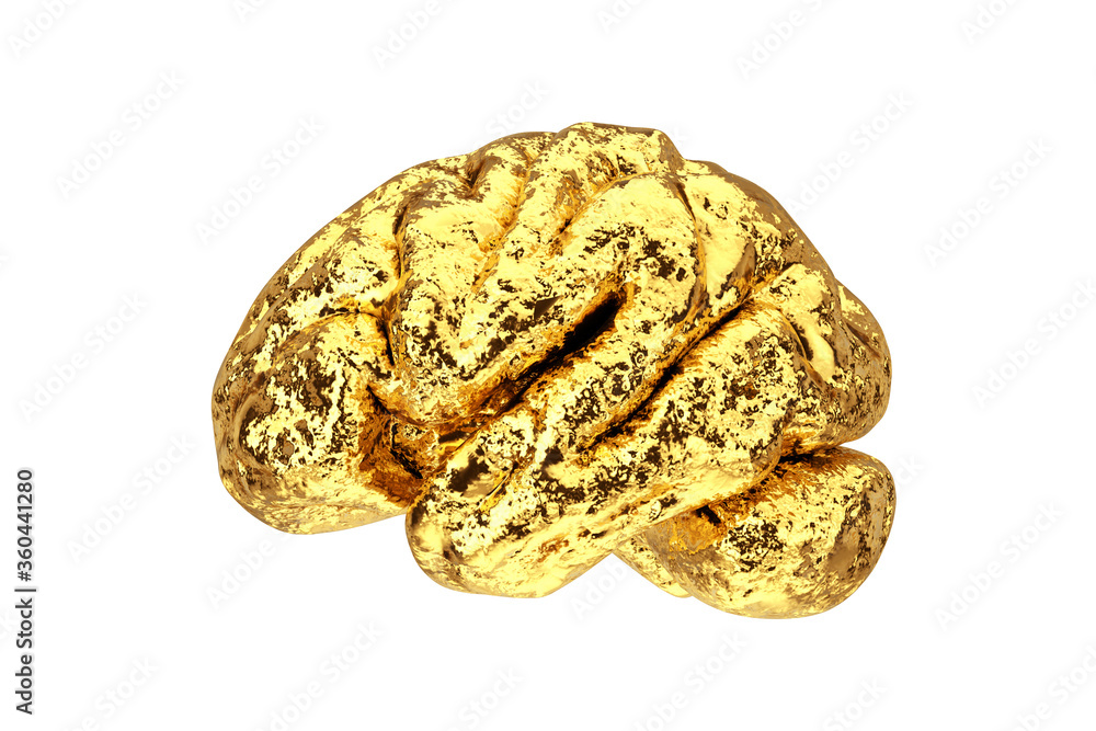 Anatomical Model of Human Golden Brain. 3d Rendering Anatomical Model of Human Golden Brain. 3d Rendering