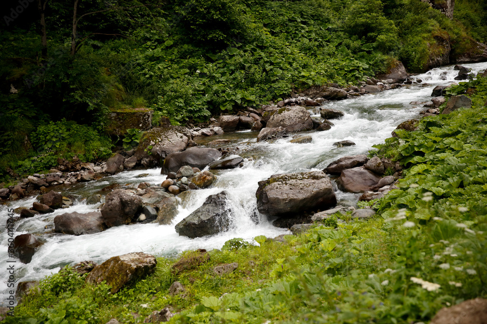 Black Sea, Rize Cat Creek Village, Turkey, View Black Sea, Rize Cat Creek Village, Turkey, View