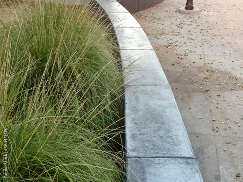 Εκτύπωση καμβά Modern landscaping design drought tolerant heat resistant plants