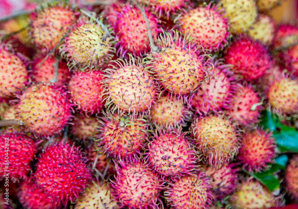 Rambutan is a light, dessert, low-calorie exotic fruit.Rambutan is the source of a whole list of minerals, the fruits are rich in calcium, iron, magnesium, manganese, phosphorus, potassium and sodium. Rambutan is a light, dessert, low-calorie exotic fruit.Rambutan is the source of a whole list of minerals, the fruits are rich in calcium, iron, magnesium, manganese, phosphorus, potassium and sodium.