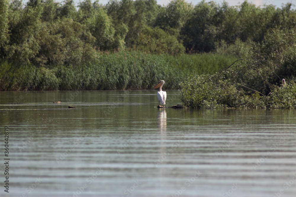 Vylkove, Ukraine: The Danube Biosphere Reserve Vylkove, Ukraine: The Danube Biosphere Reserve