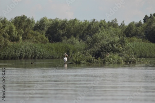 Vylkove  Ukraine  The Danube Biosphere Reserve