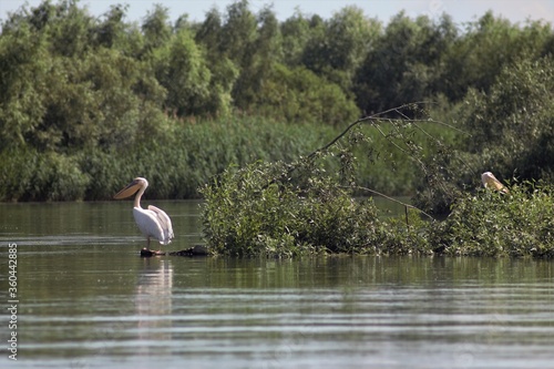 Vylkove, Ukraine: The Danube Biosphere Reserve photo