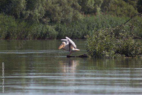 Vylkove, Ukraine: The Danube Biosphere Reserve photo