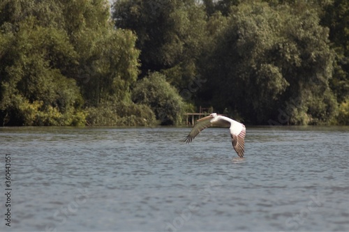 Vylkove, Ukraine: The Danube Biosphere Reserve photo