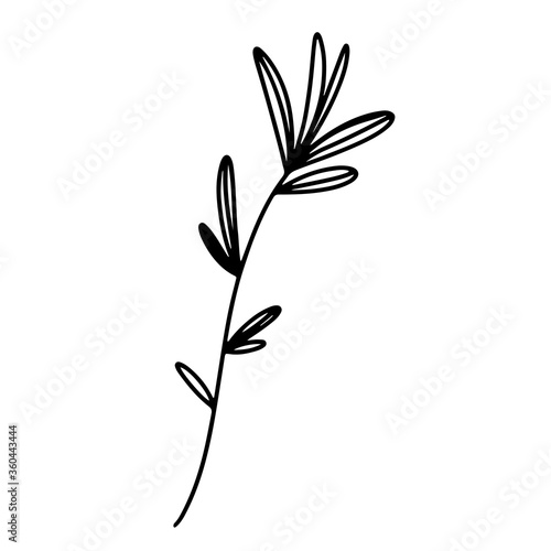 Elegant magical witch herbs isolate on white background .Doodle contour digital art. Tattoo print, sticker, postcard, social media post, packaging, brand