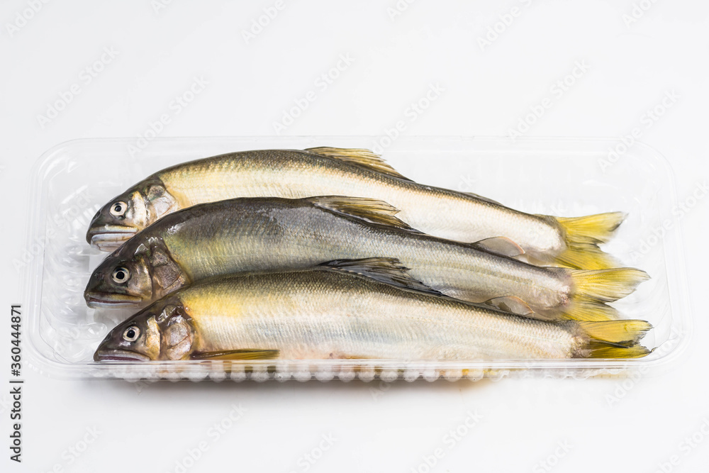 夏の味覚 鮎 夏の味覚 鮎