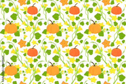 Hand drawn ripe pumpkin and flowers seamless pattern. Vector pumpkin illustration for autumn banner, fabric, textile,  thanksgiving, recipes, menus, and harvest festivals. 