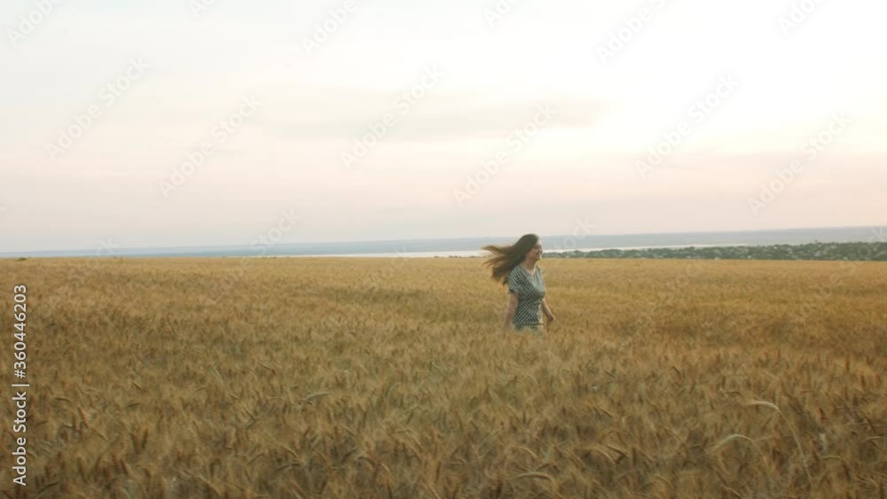 beautiful girl in dress walking on field of spikelets in ripe golden wheat, young pretty woman enjoying rural landscape, happiness and freedom emotion beautiful girl in dress walking on field of spikelets in ripe golden wheat, young pretty woman enjoying rural landscape, happiness and freedom emotion