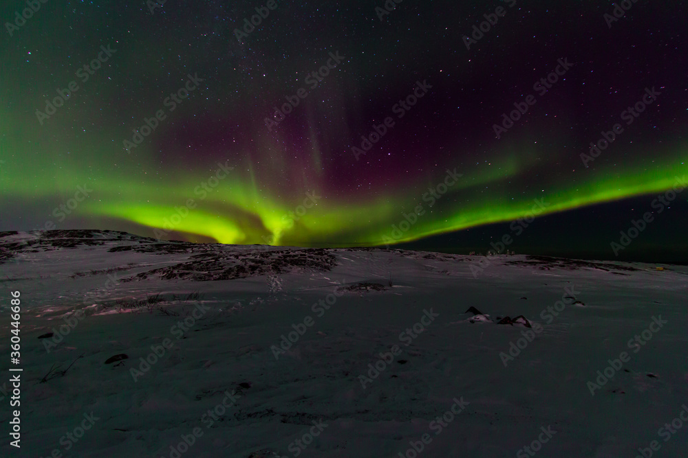 Night view of the northern lights on the shores of the Arctic Ocean